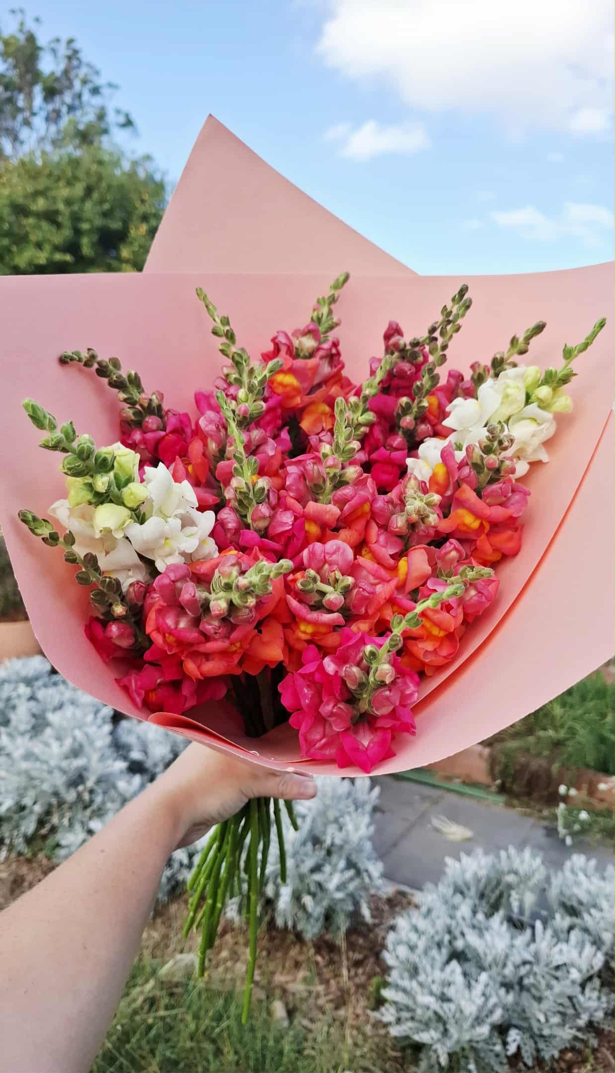 Snapdragon Bouquet